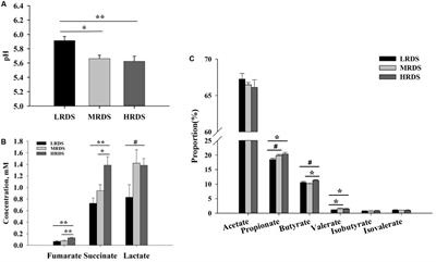 Metagenomic Analyses of Microbial and Carbohydrate-Active Enzymes in the Rumen of Dairy Goats Fed Different Rumen Degradable Starch